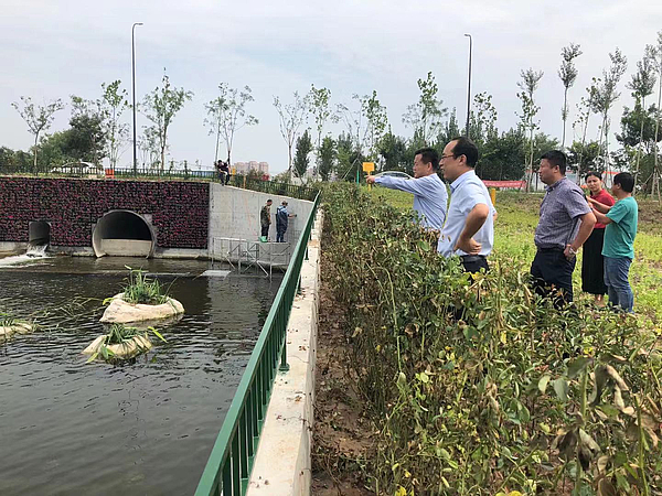 8-28 張桂林同志帶隊(duì)檢查.jpg