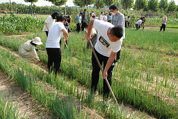 現場采摘 (3).JPG 現場采摘 (3).JPG